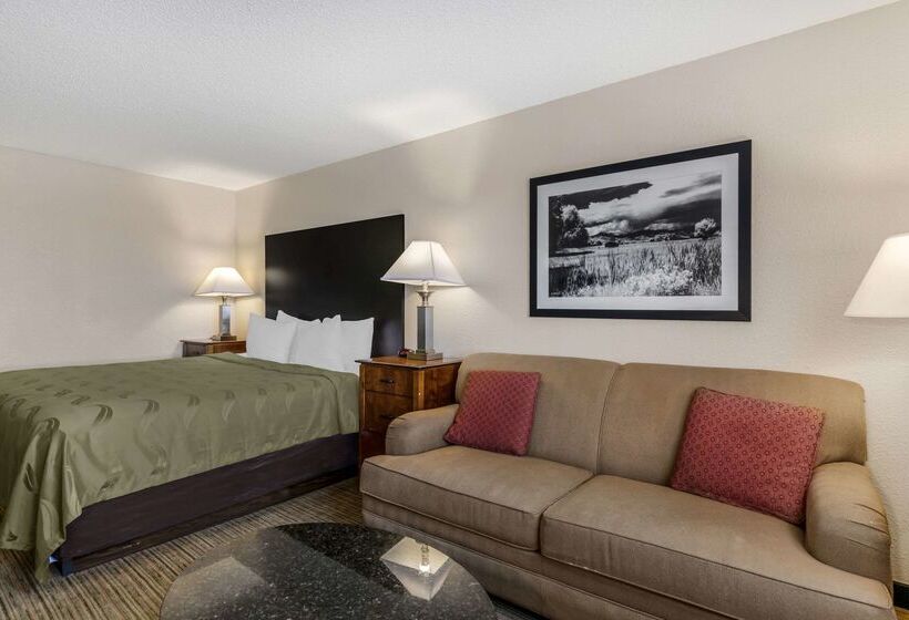 Отель Quality Inn Denver Tech Center