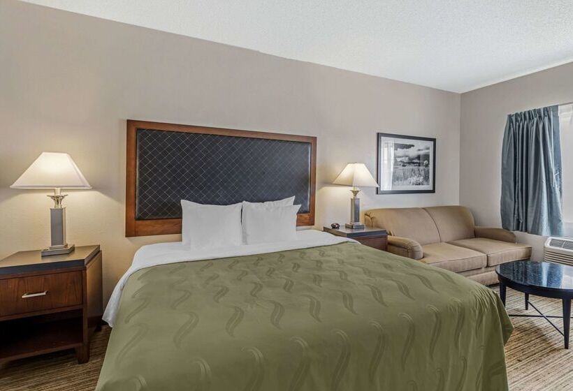 Отель Quality Inn Denver Tech Center