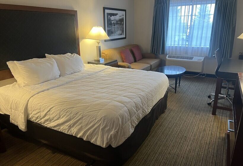 Отель Quality Inn Denver Tech Center