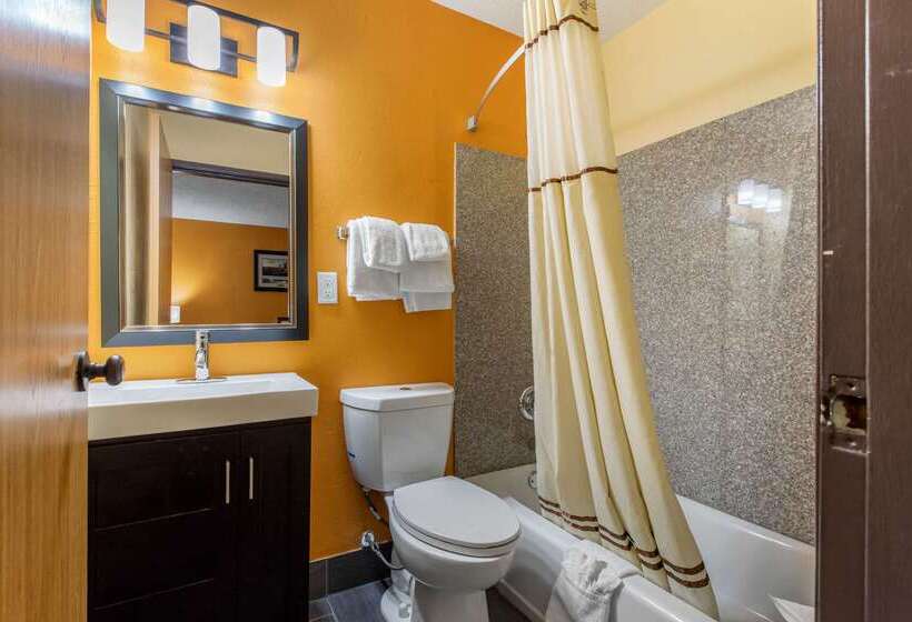 هتل Quality Inn Grand Rapids Near Downtown