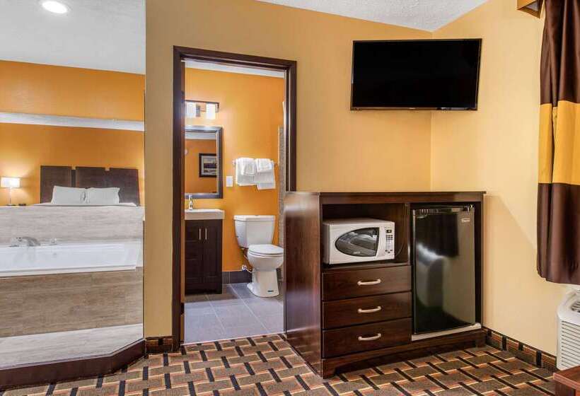هتل Quality Inn Grand Rapids Near Downtown