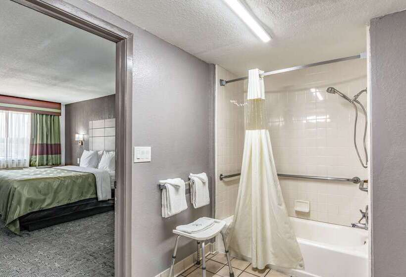 ホテル Quality Inn I 10 East Near Frost Bank Center