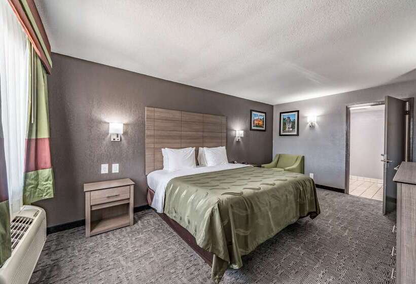 ホテル Quality Inn I 10 East Near Frost Bank Center