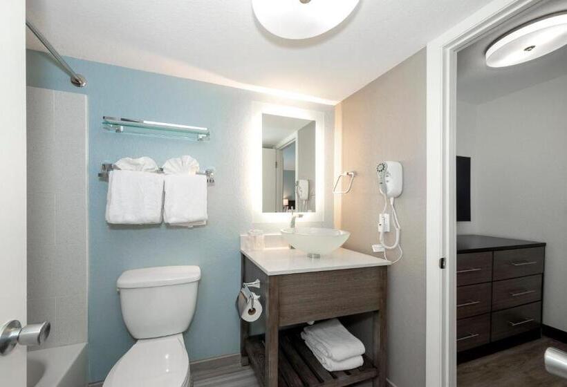 בית מלון כפרי Red Roof Inn Plus+ & Suites Naples Downtown 5th Ave S