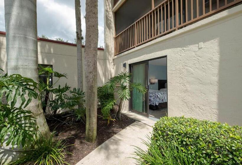 בית מלון כפרי Red Roof Inn Plus+ & Suites Naples Downtown 5th Ave S