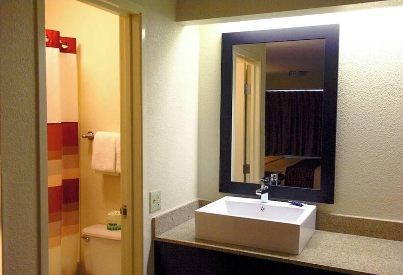 酒店 Red Roof Inn Plus+ Washington Dc   Manassas