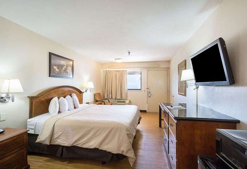 فندق Rodeway Inn Tampa Near Busch Gardensusf