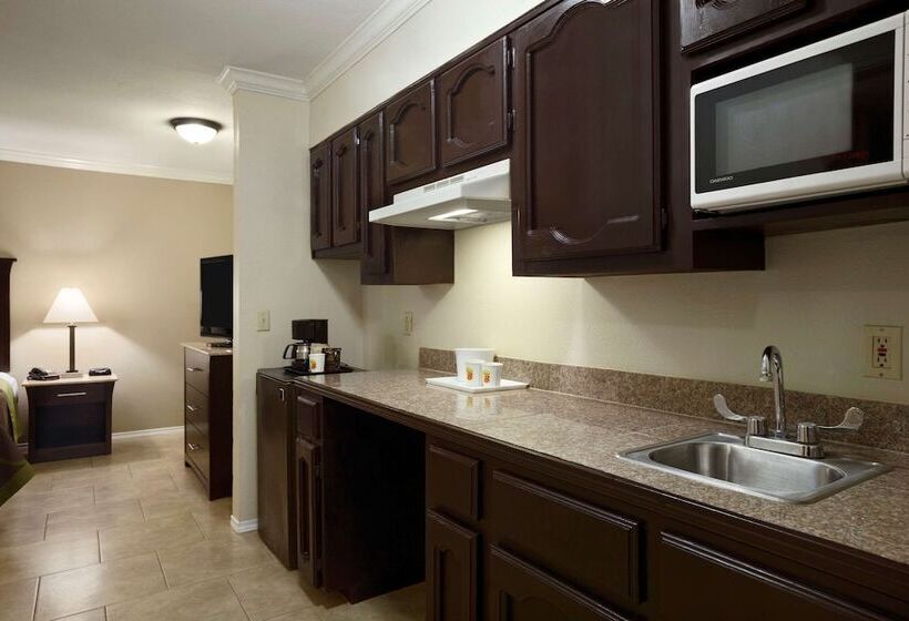 בית מלון כפרי Super 8 By Wyndham Mcallen Downtown Airport La Plaza Mall