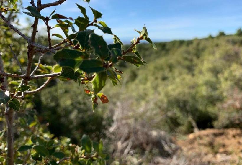 فندق صغير La Posada De Sofuentes