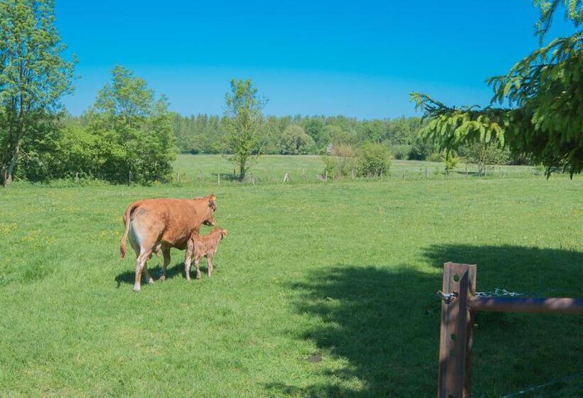 فندق Au Jardin Fleuri