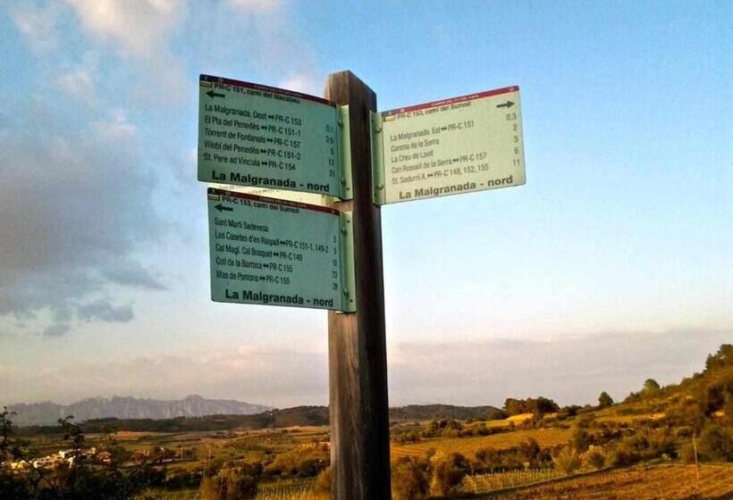 بنسيون Rural Hd Riudebitlles Art I Allotjament