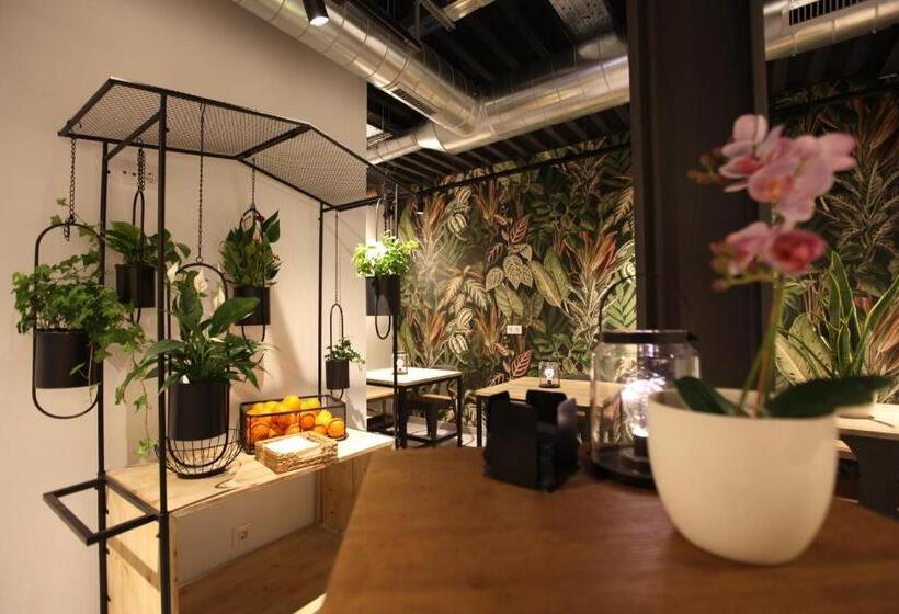 Az The Botanic Hostel