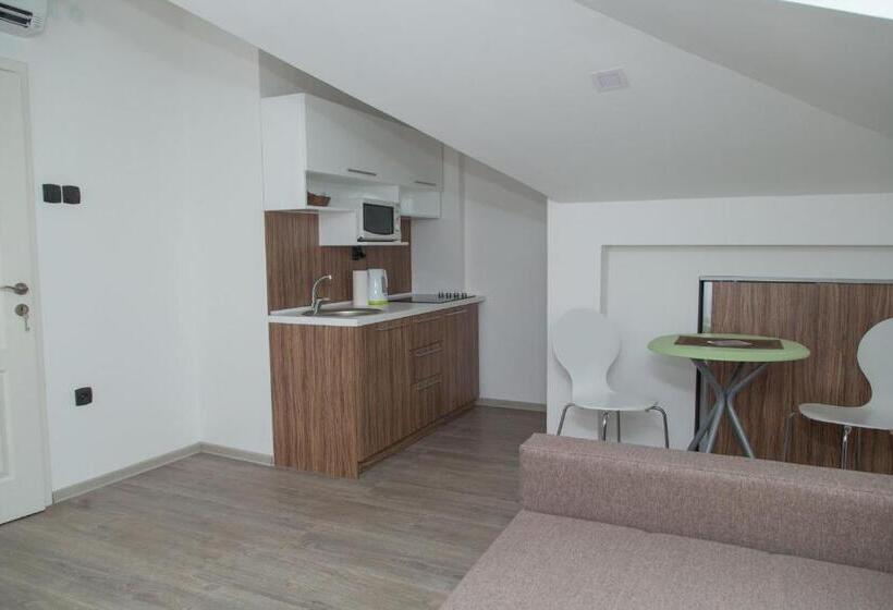 هتل Niš City Center Guest House