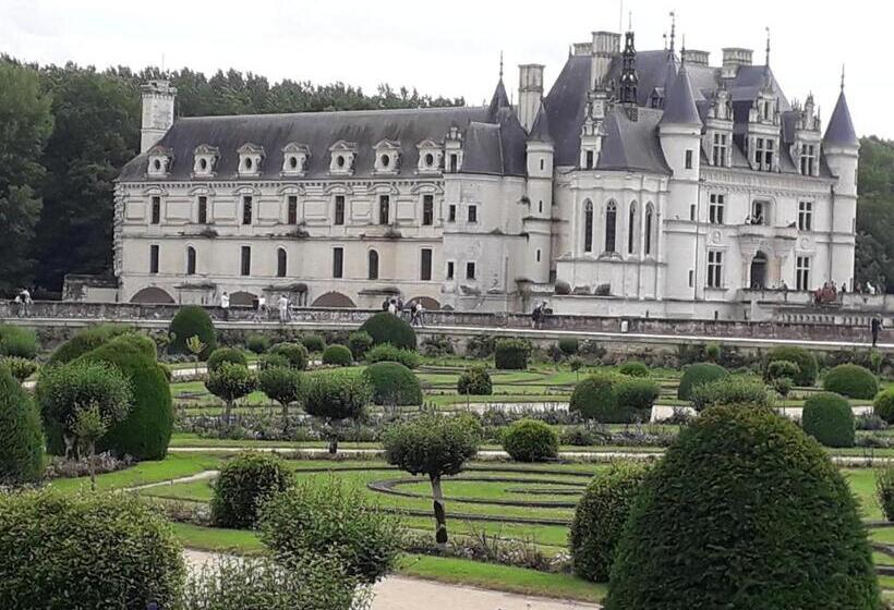 بنسيون Les Hirondelles