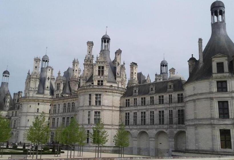 بنسيون Les Hirondelles