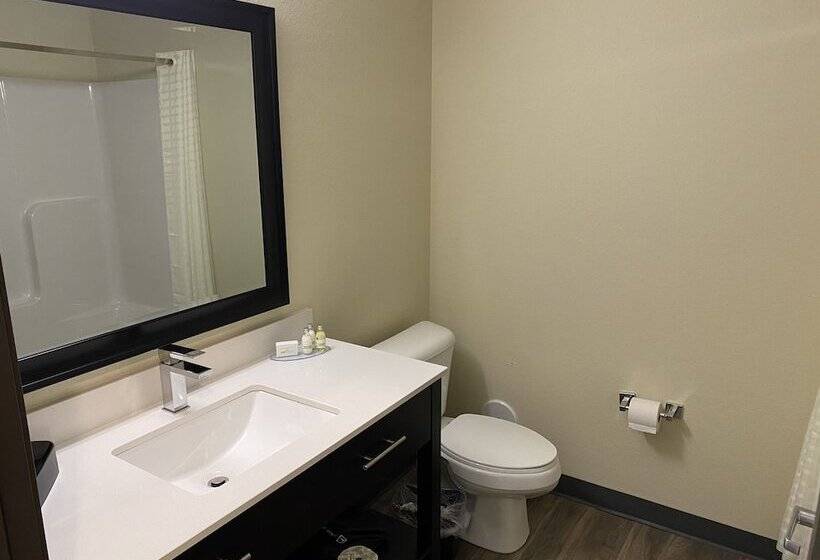 فندق Cobblestone Inn & Suites  Forest City