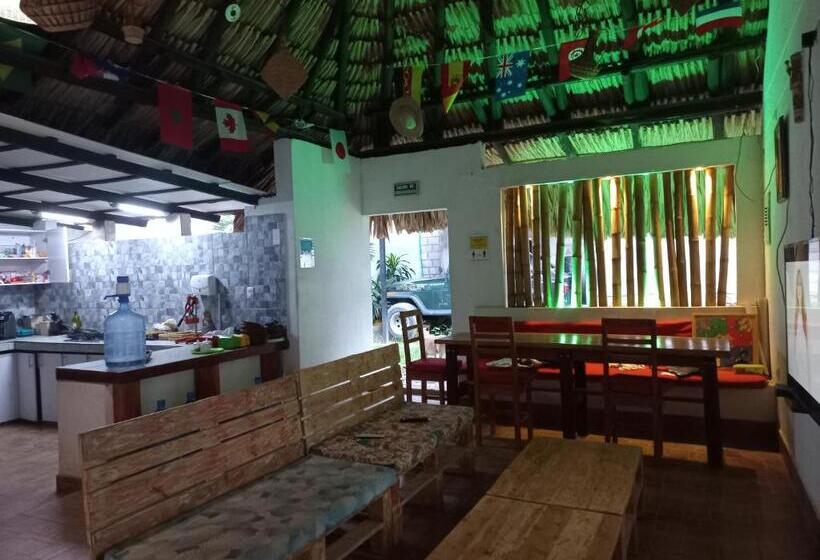 هتل El Leon Feliz Palomino