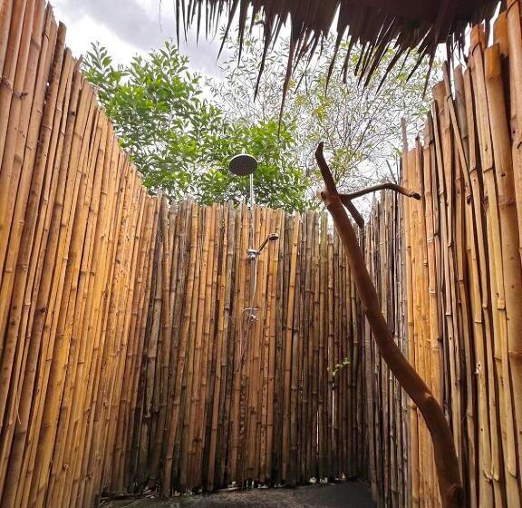 Tropical Hostel