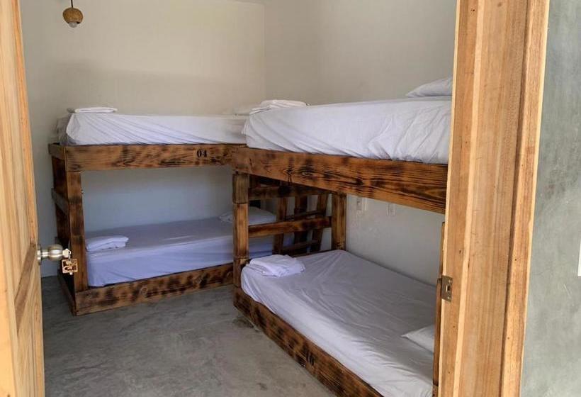 هاستل Valhalla Beach House