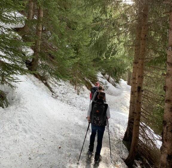 تختخواب و صبحانه Montagn'arcs