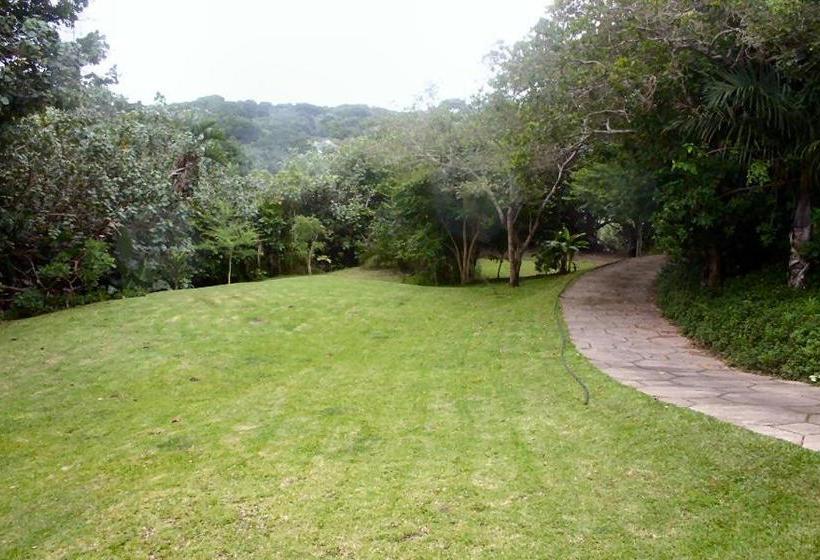 ペンション Dieu Donnee River Lodge
