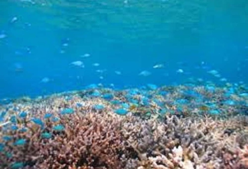 بنسيون Nel Beach
