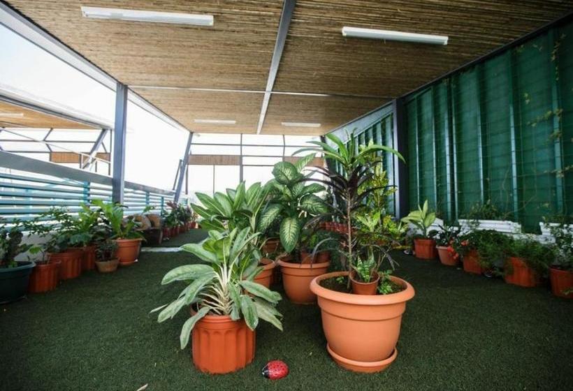 פנסיון Eco Residencia San Ramon