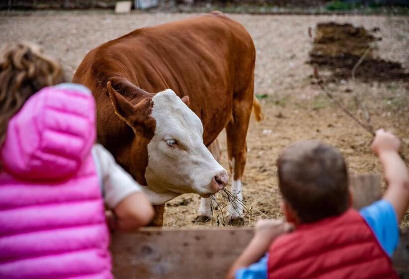 בית מלון כפרי Agriturismo Le Due Querce