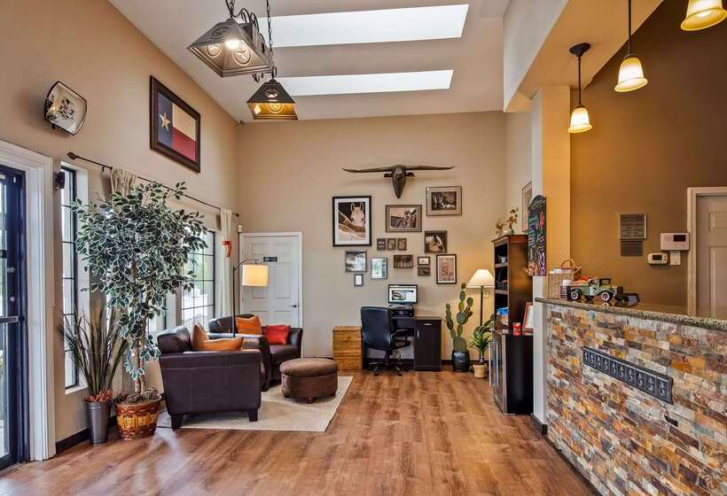 酒店 Best Western Johnson City Inn