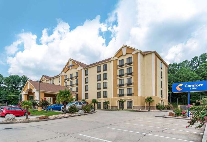 هتل Comfort Inn Birmingham Homewood