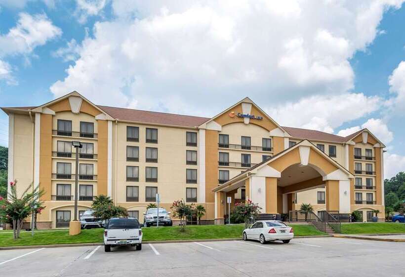 هتل Comfort Inn Birmingham Homewood