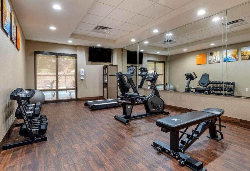 هتل Comfort Inn Birmingham Homewood