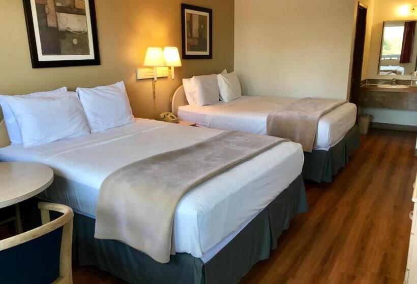 酒店 Seatac Airport Value Inn