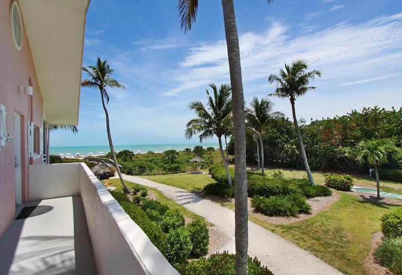 فندق Song Of The Sea