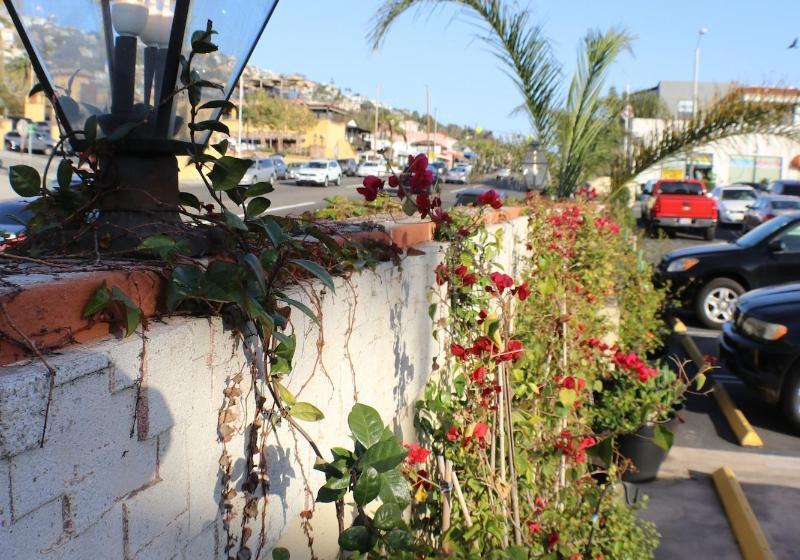 汽车旅馆  Laguna Cove