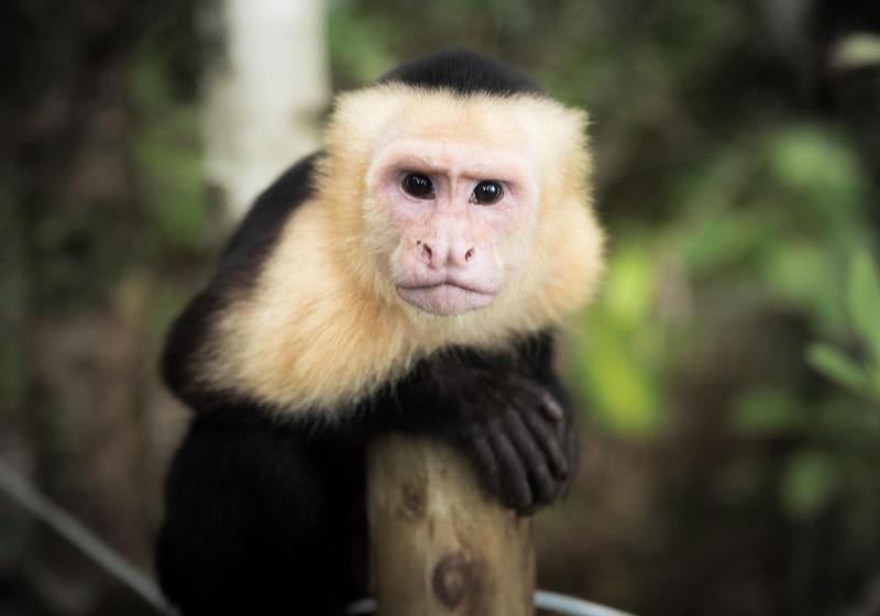 هتل Igloo Beach Lodge