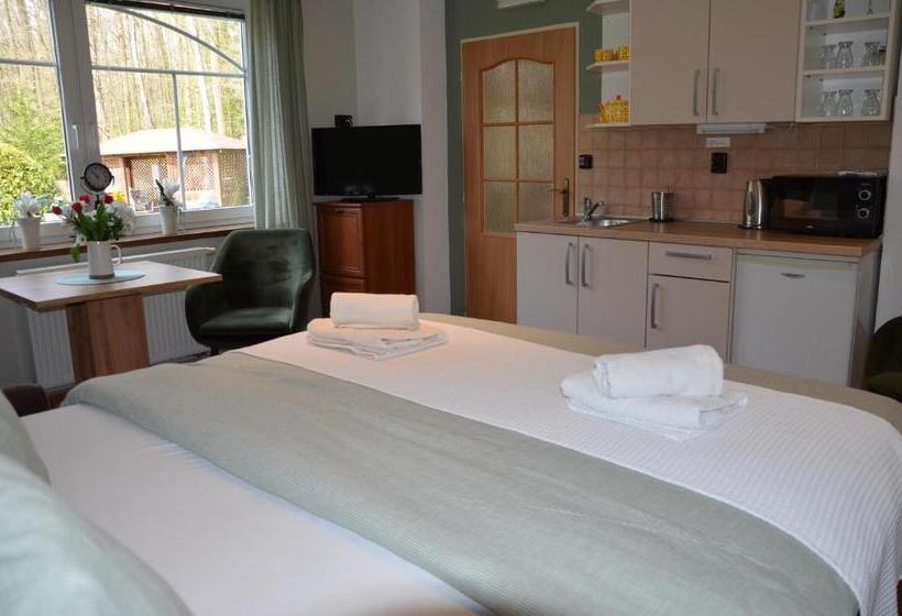 펜션 Penzion Pohoda Sokolov