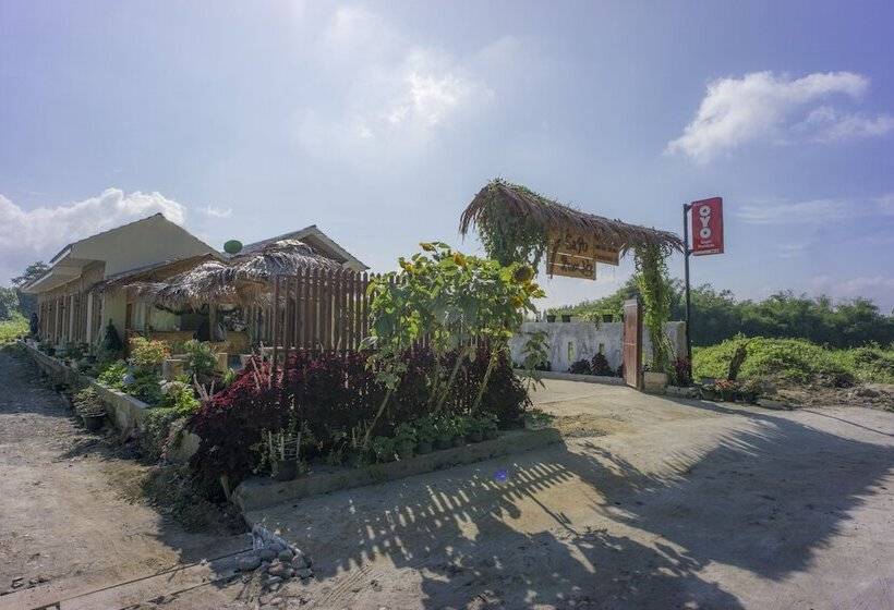 هاستل Sapo Rumbia By Oyo Rooms