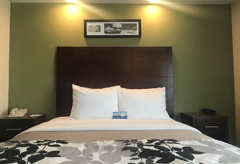 בית מלון כפרי Baymont By Wyndham Flat Rock