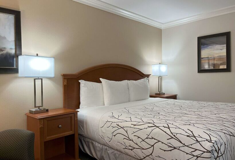 هتل Best Western Plus Silver Saddle Inn