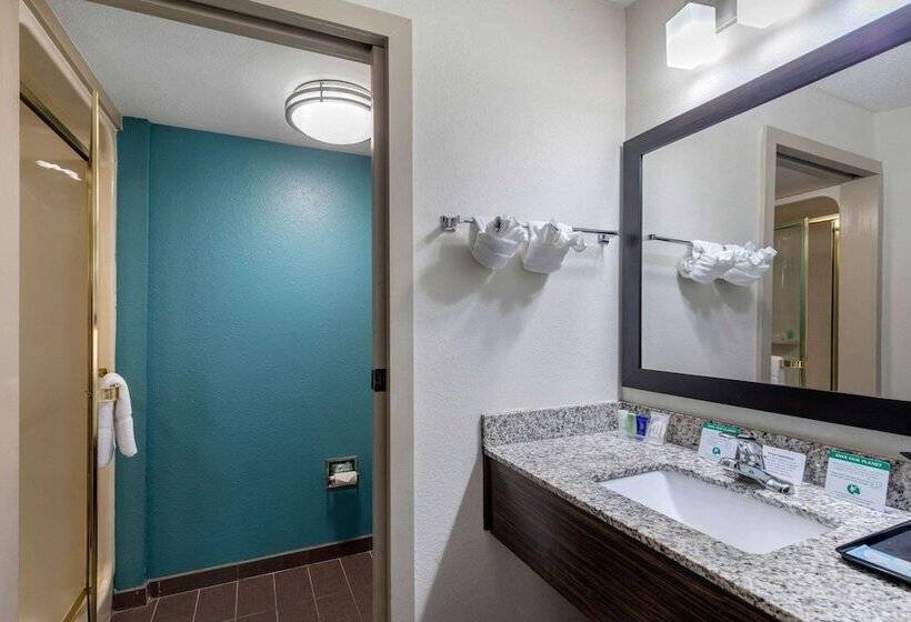 هتل Clarion Inn & Suites Dfw North