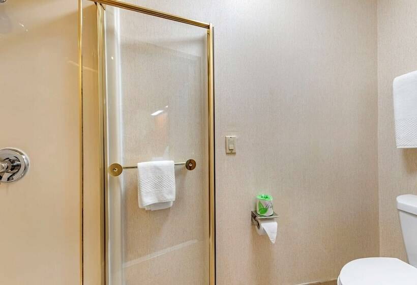 هتل Econo Lodge North Academy