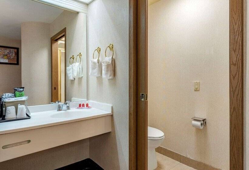 هتل Econo Lodge North Academy