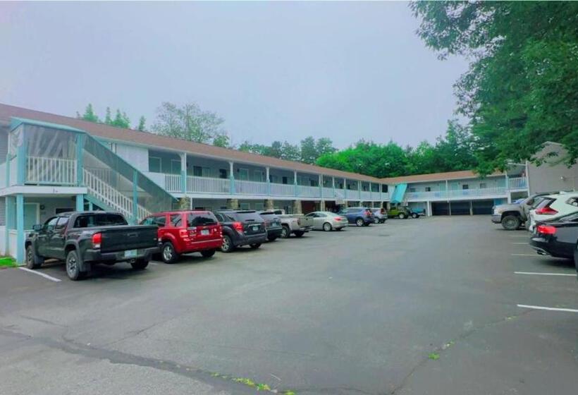 هتل Hampton Motor Inn