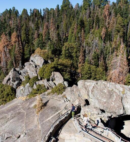 فندق Sierra Lodge Three Rivers