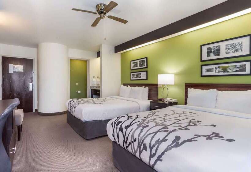 酒店 Sleep Inn Little River   North Myrtle Beach