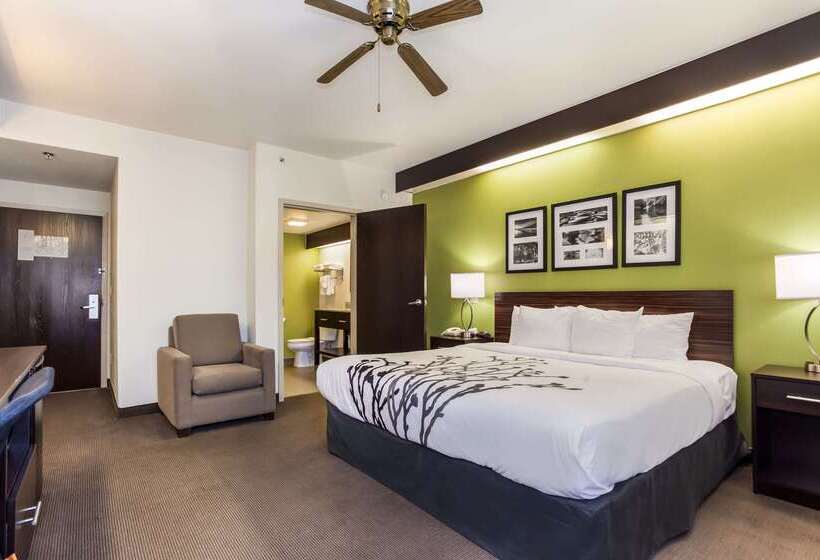 酒店 Sleep Inn Little River   North Myrtle Beach
