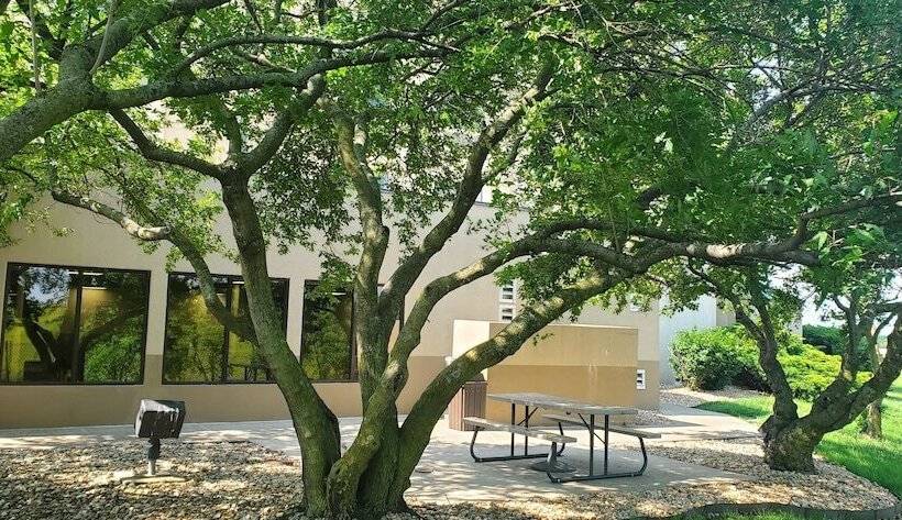 Отель Sleep Inn Springfield South I60 Near Medical District