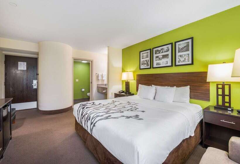 ホテル Sleep Inn Statesville I 40