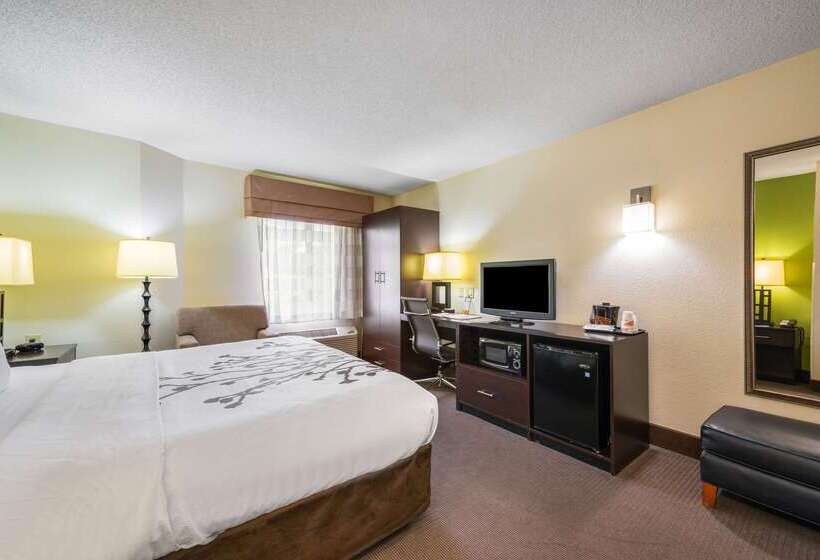 ホテル Sleep Inn Statesville I 40